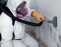 Best Water Damage & Mold Remediation  in Berlin, MD